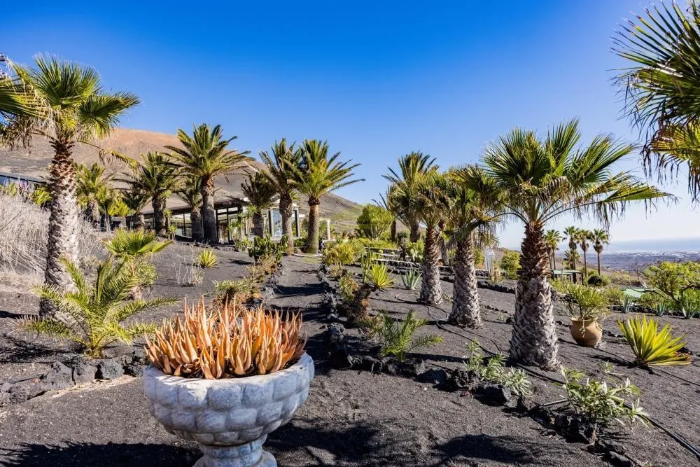 Lanzarote, La Asomada,