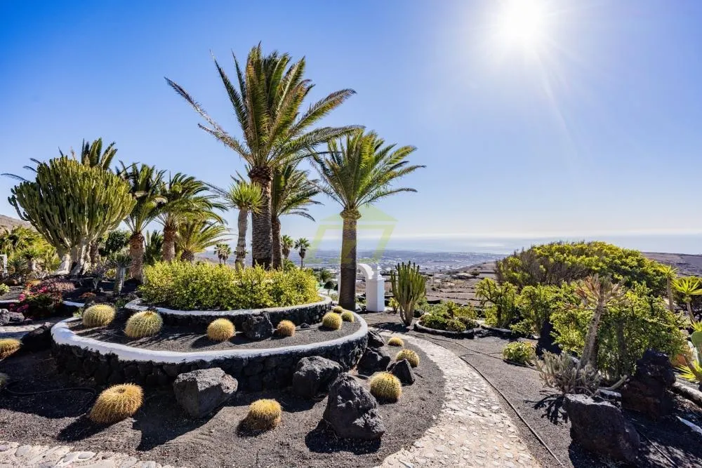 Lanzarote, La Asomada,