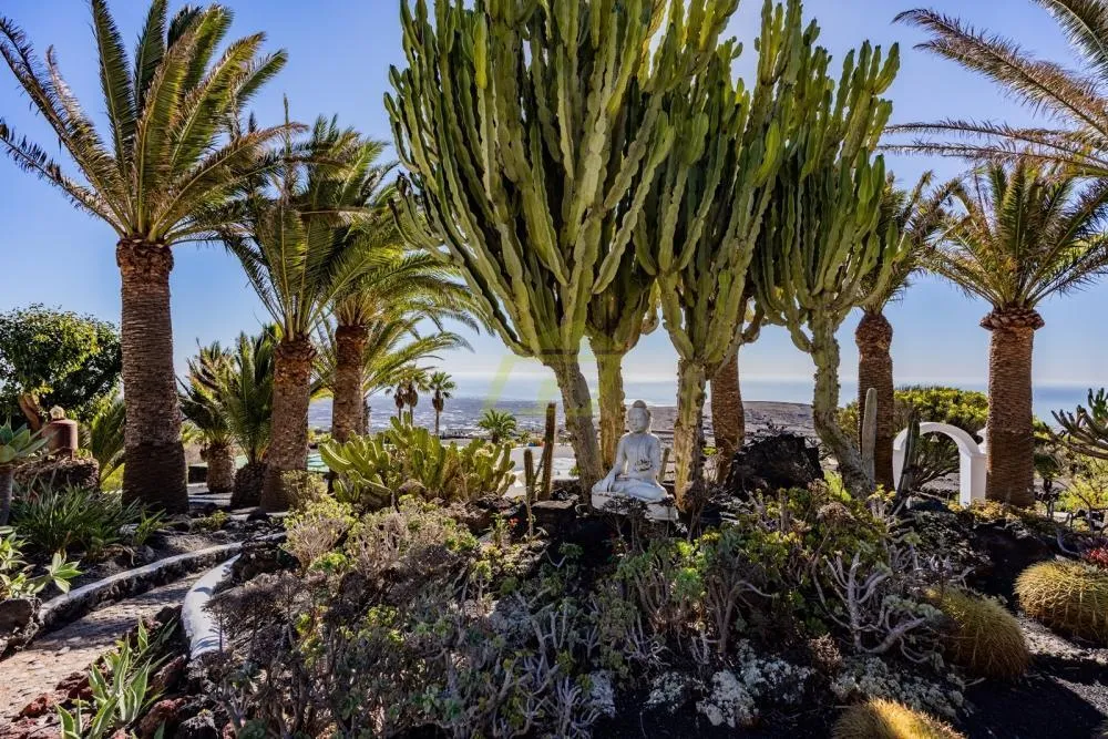 Lanzarote, La Asomada,