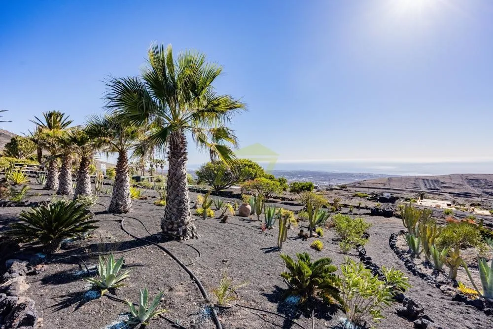 Lanzarote, La Asomada,