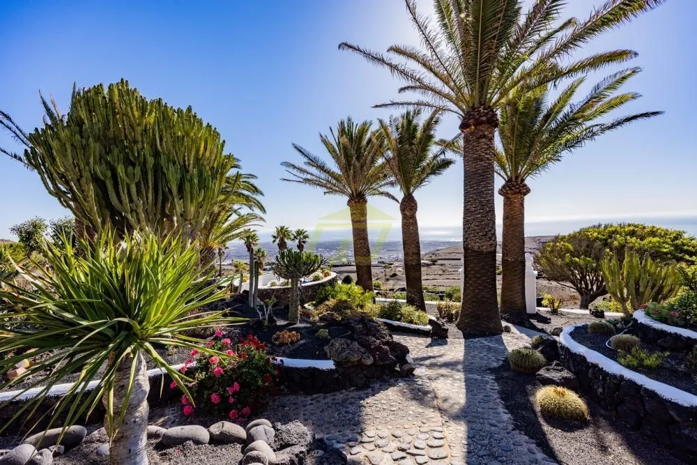 Lanzarote, La Asomada,