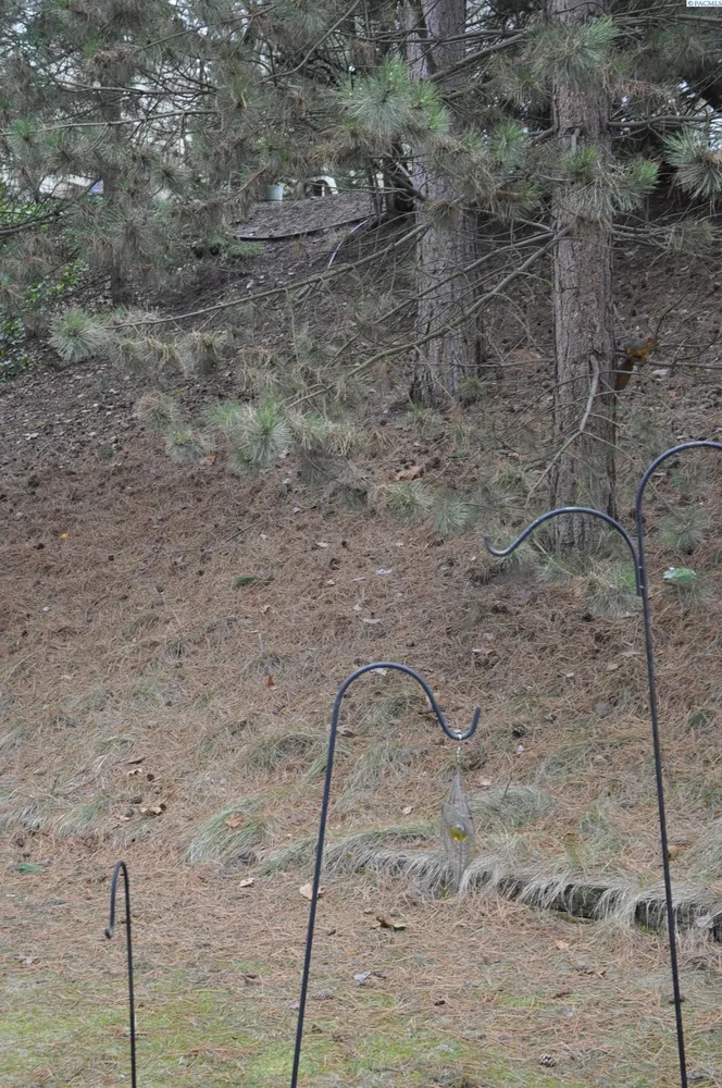 2430 NW Granite Ct, Pullman, WA 99163-3688