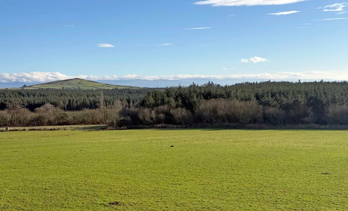 Llanaelhaearn, Caernarfon, Gwynedd, LL54