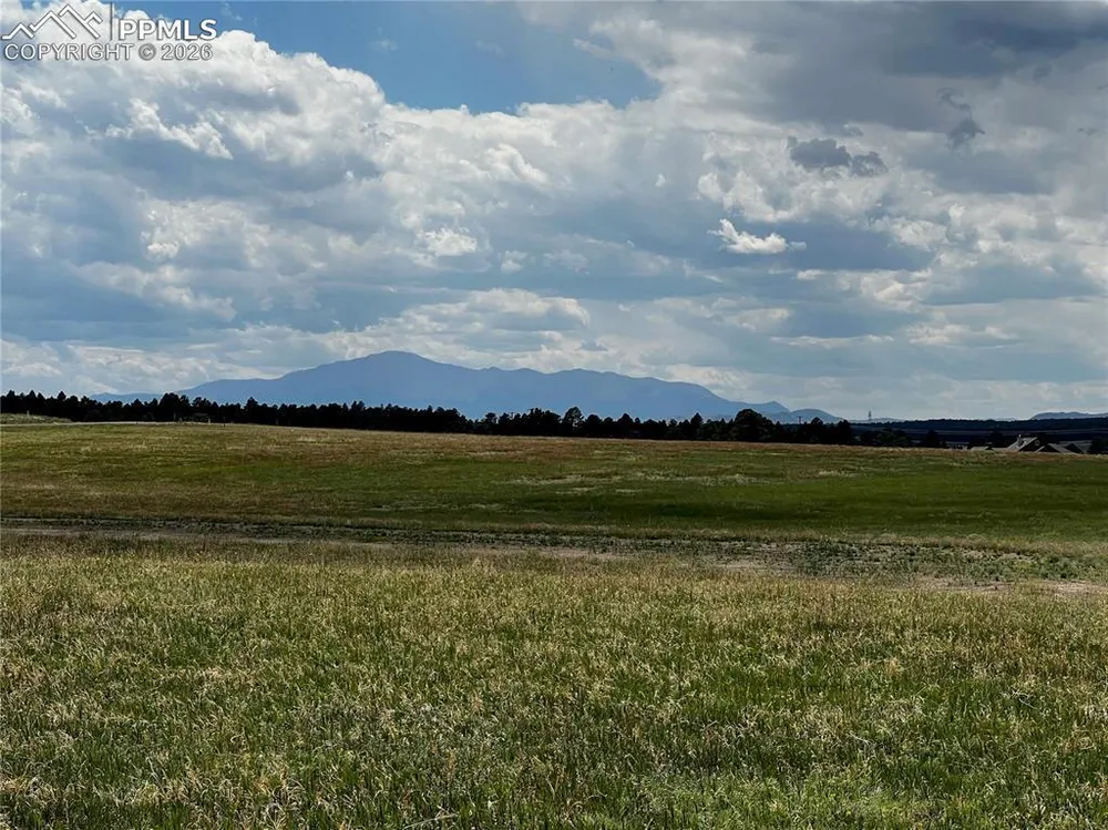 16990 Early Light Dr, Colorado Springs, CO 80908