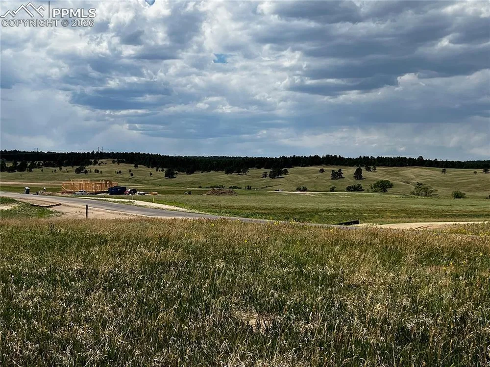 16990 Early Light Dr, Colorado Springs, CO 80908