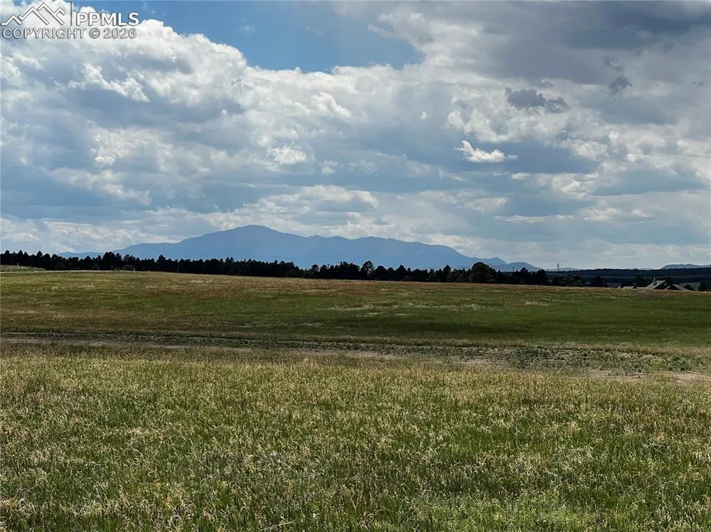 16990 Early Light Dr, Colorado Springs, CO 80908