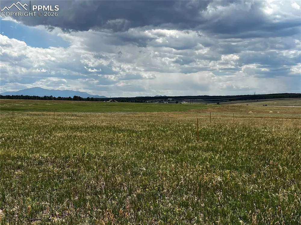 16990 Early Light Dr, Colorado Springs, CO 80908