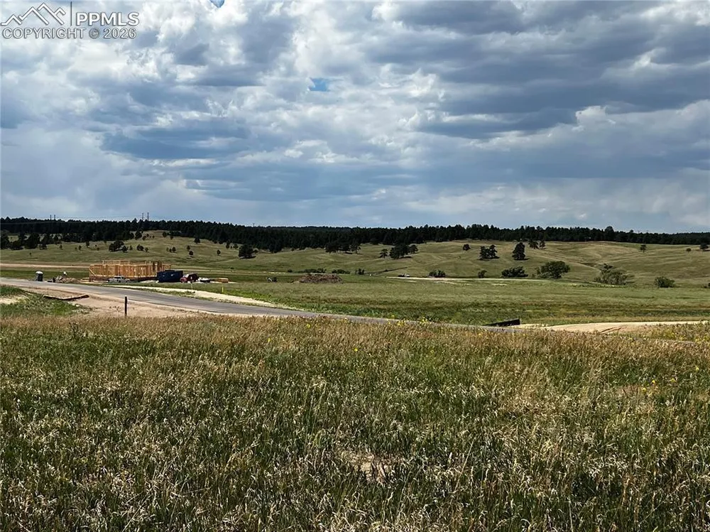 16990 Early Light Dr, Colorado Springs, CO 80908