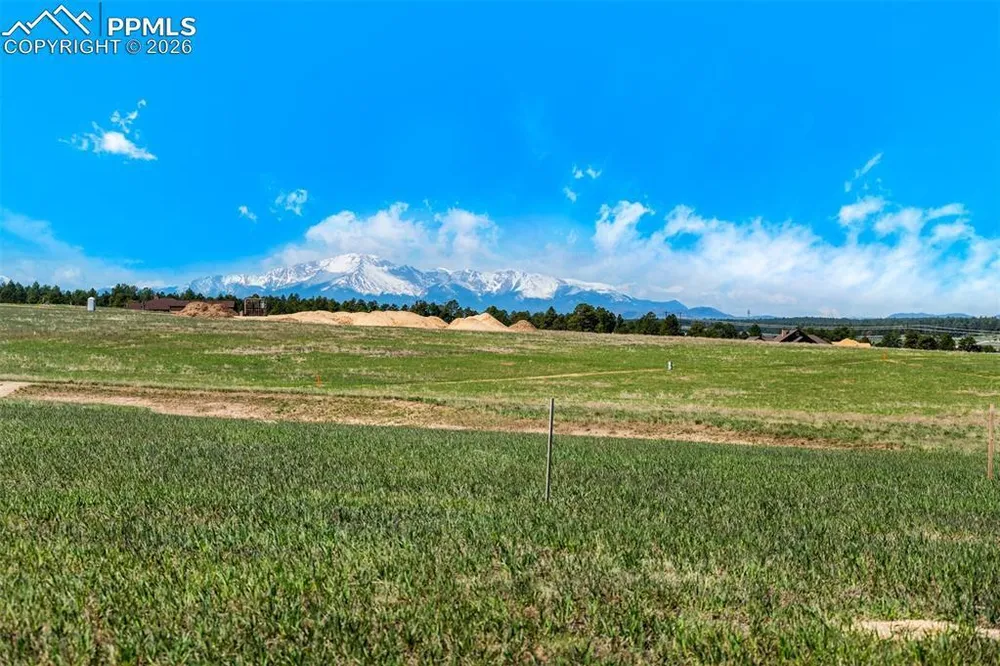 16990 Early Light Dr, Colorado Springs, CO 80908