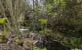 Property image gallery