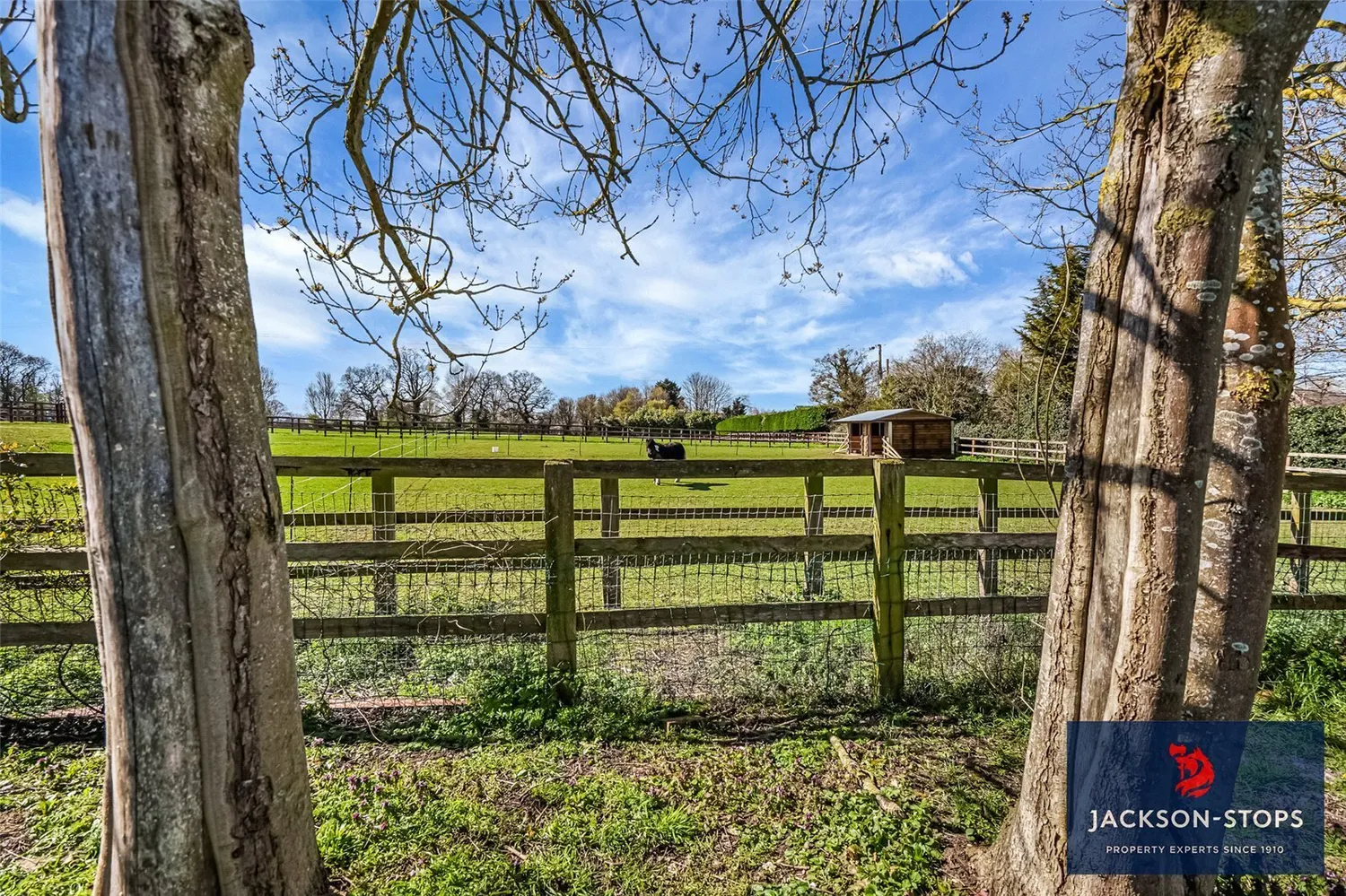 High Street, Cheveley, CB8 photo 9
