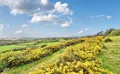 Property image gallery