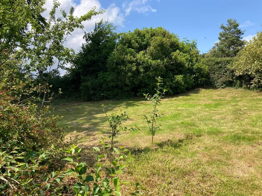 Property Image 45