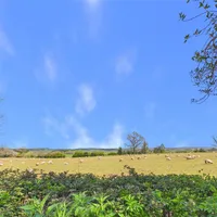 Property 38