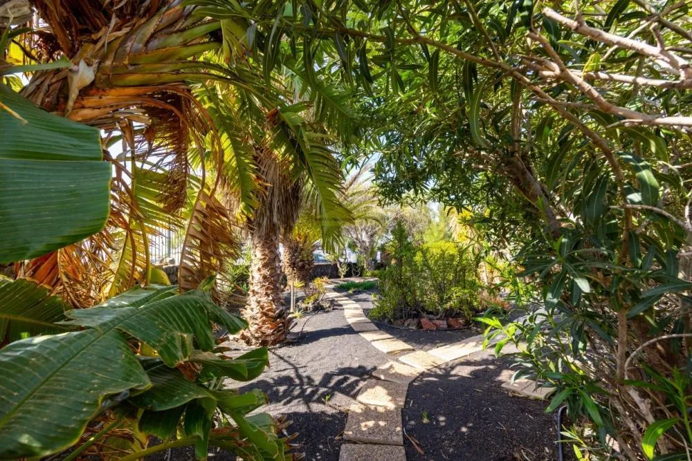 Lanzarote, Tias,