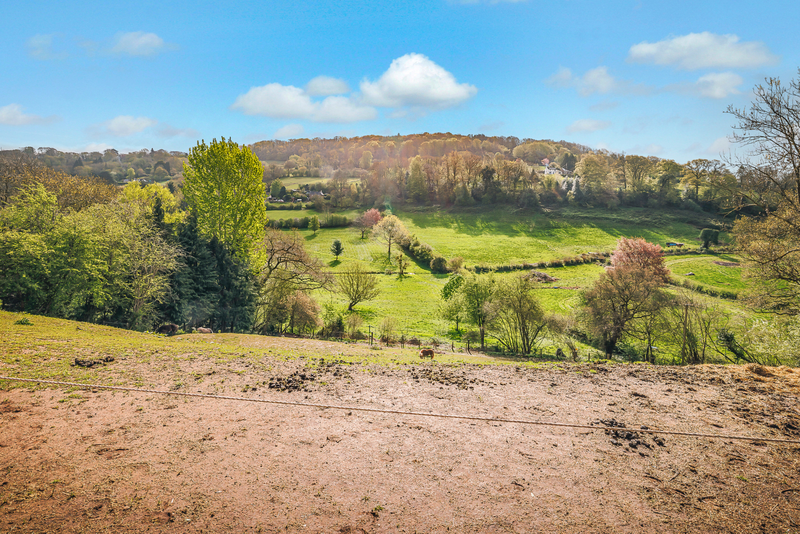 Whitchurch, Ross-on-Wye, Herefordshire, HR9 Image 25