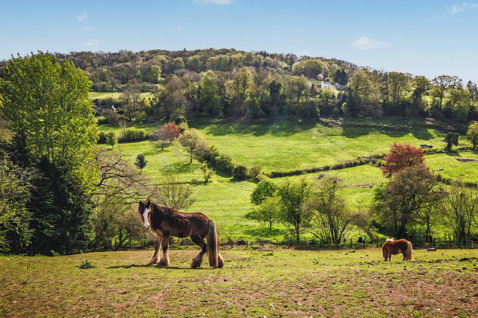 Whitchurch, Ross-on-Wye, Herefordshire, HR9 Image 26