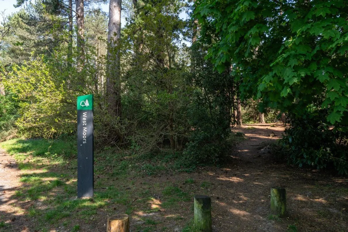 Glenwood Road, West Moors, Ferndown, Dorset, BH22