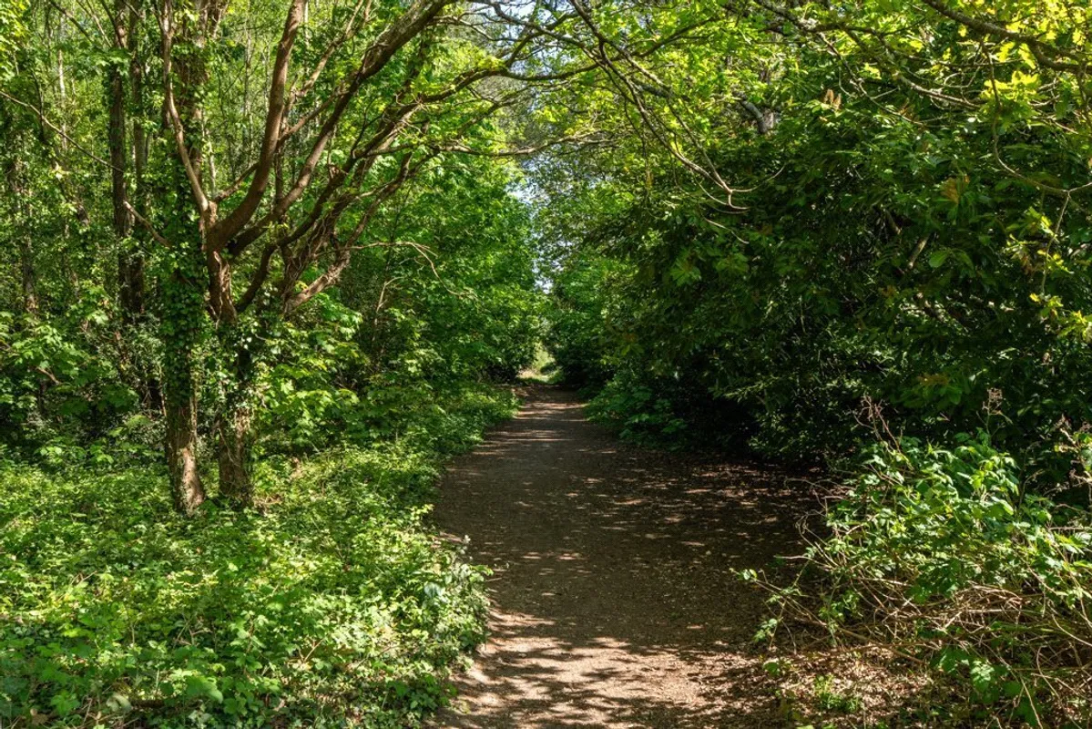 Glenwood Road, West Moors, Ferndown, Dorset, BH22
