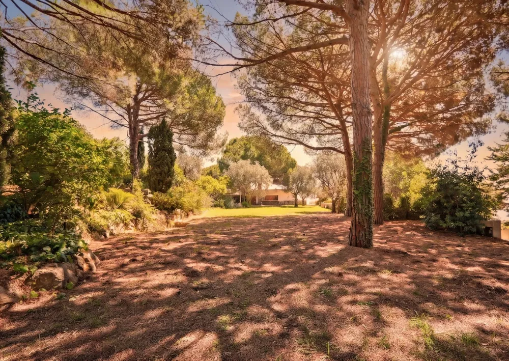 Vallauris, 06220, France