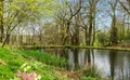 Property image gallery