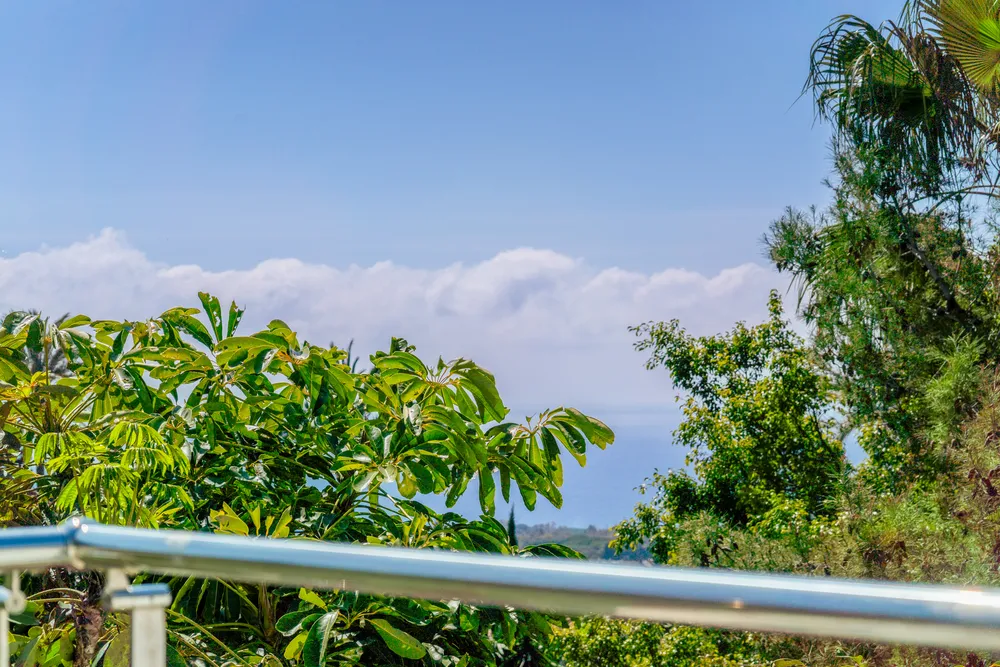 Meisho Hills, Marbella Golden Mile, Malaga, Spain