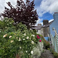 Property 27