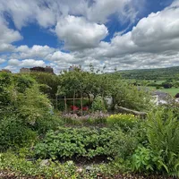 Property 31