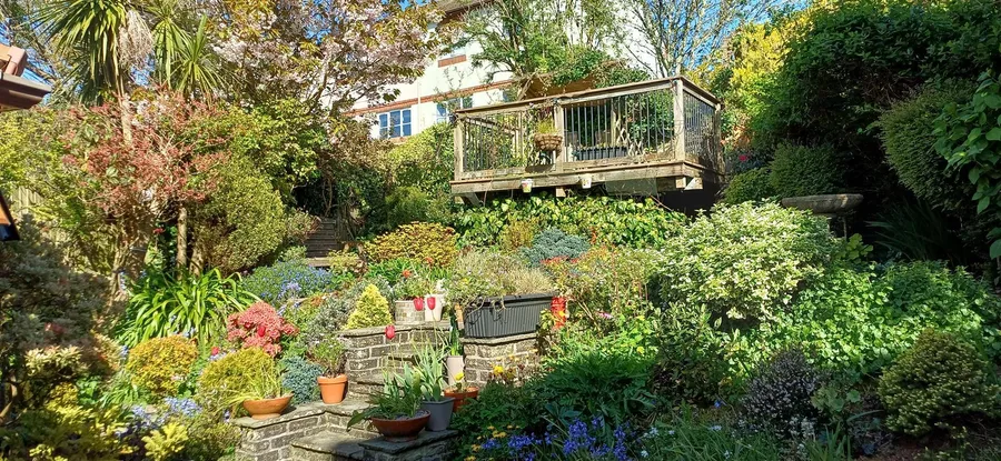 Property Image 14