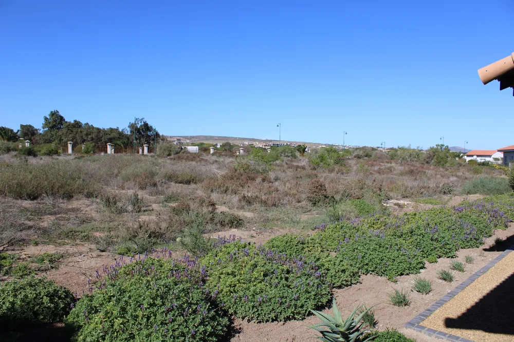South Africa, Western Cape, Langebaan Country Estate