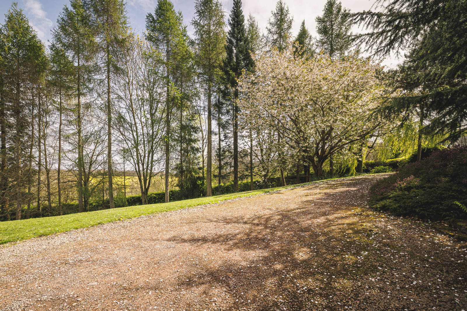 Upton Bishop, Ross-on-Wye, Herefordshire, HR9 Image 39