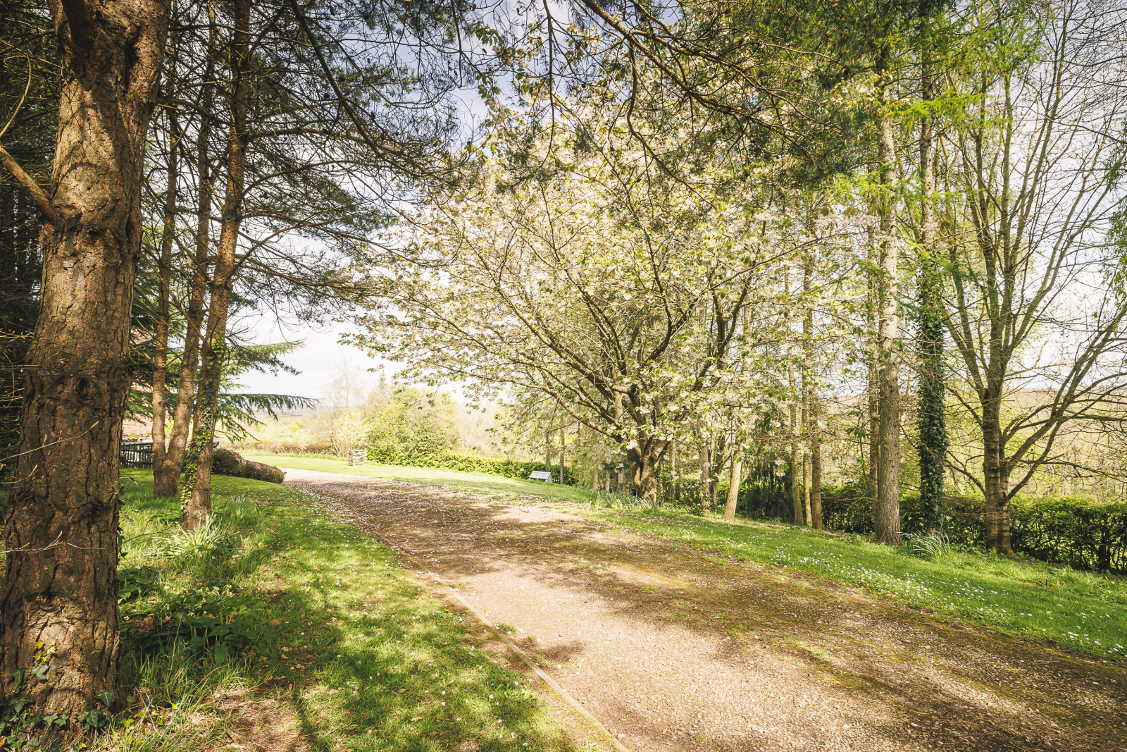 Upton Bishop, Ross-on-Wye, Herefordshire, HR9 Image 40