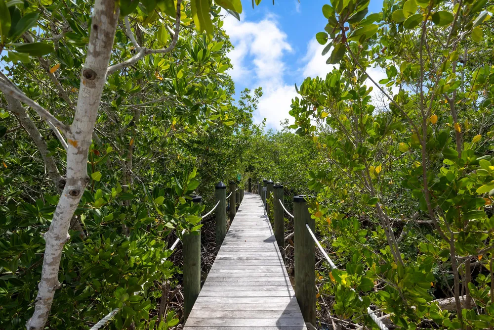 1300 Avenue H, Marathon, FL 33050