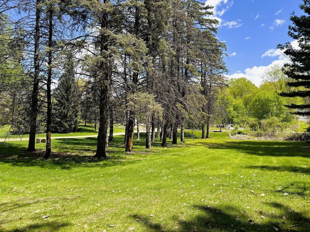 1447 Sterling St S, Maplewood, MN 55119