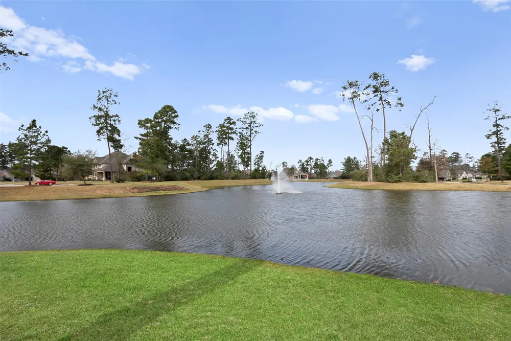 14239 Volcano Perch Dr, Conroe, TX 77384