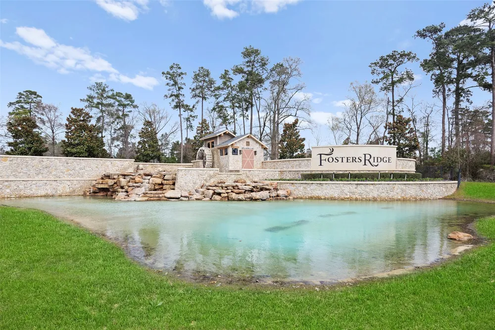 14239 Volcano Perch Dr, Conroe, TX 77384