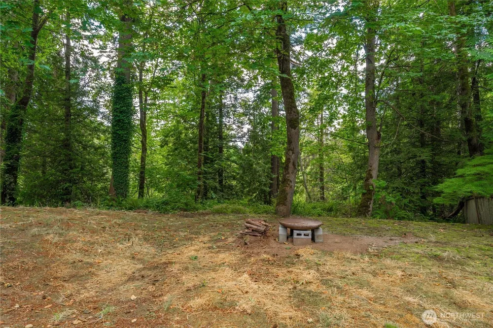 25401 Kanasket Dr, Black Diamond, WA 98010