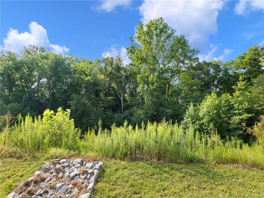 5876 Hackberry Ln, Braselton, GA 30517