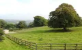 Property image gallery
