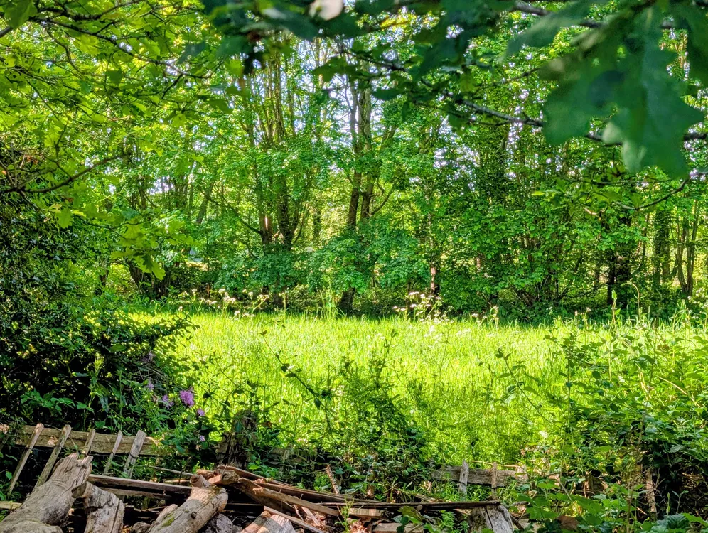 Mill Vale Meadows, Milland, GU30 photo 3