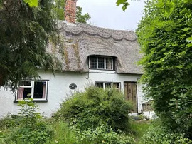 Lower Road, Rattlesden, BURY ST. EDMUNDS photo