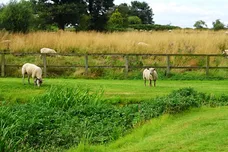 Pinfold Lane, Aldridge, Walsall