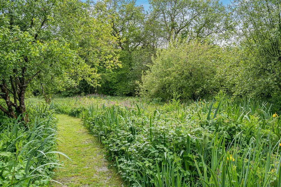 Property Image 42