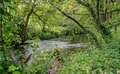 Property image gallery
