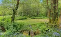 Property image gallery