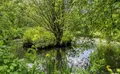 Property image gallery