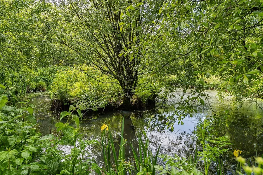 Property Image 50
