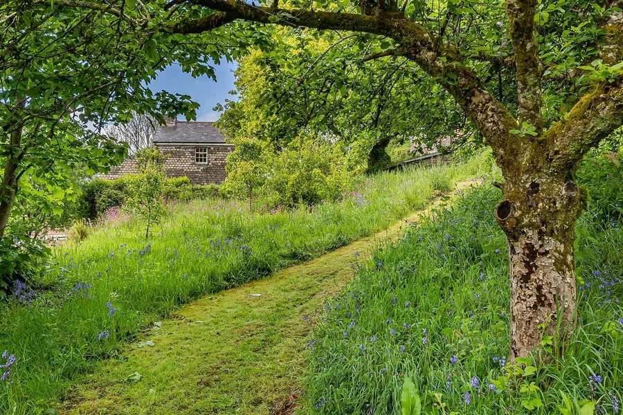 Property Image 51