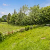 Property 24