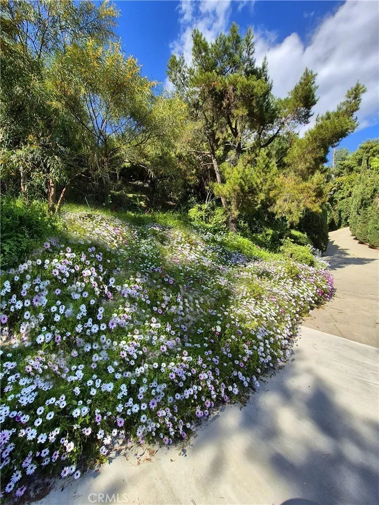 1525 Bonnie Jean Ln, La Habra Heights, CA 90631